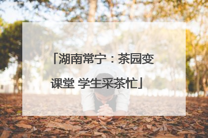 湖南常宁：茶园变课堂 学生采茶忙