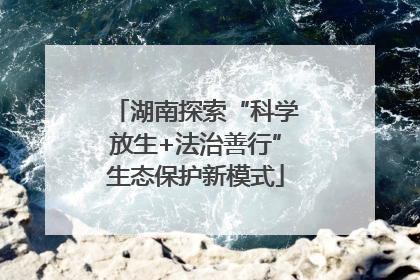 湖南探索“科学放生+法治善行”生态保护新模式