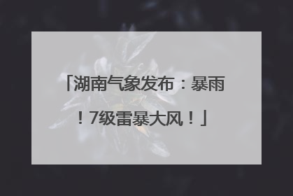 湖南气象发布：暴雨！7级雷暴大风！