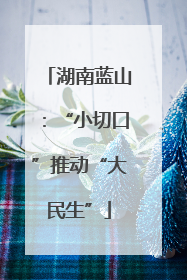 湖南蓝山：“小切口”推动“大民生”