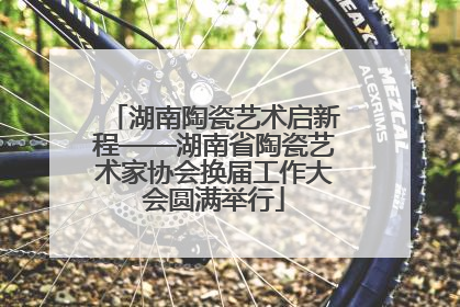 湖南陶瓷艺术启新程——湖南省陶瓷艺术家协会换届工作大会圆满举行