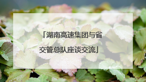 湖南高速集团与省交管总队座谈交流