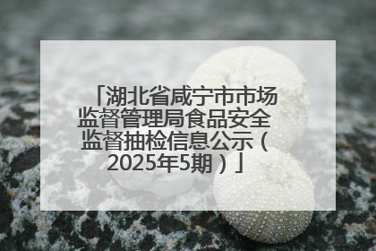 湖北省咸宁市市场监督管理局食品安全监督抽检信息公示（2025年5期）