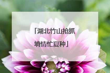 湖北竹山抢抓墒情忙夏种