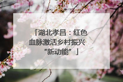 湖北孝昌：红色血脉激活乡村振兴“新动能”