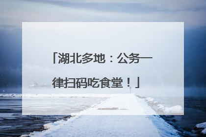 湖北多地:公务一律扫码吃食堂!