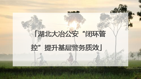 湖北大冶公安“闭环管控”提升基层警务质效