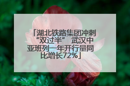 湖北铁路集团冲刺“双过半” 武汉中亚班列一年开行量同比增长72%