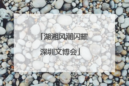 湖湘风潮闪耀深圳文博会