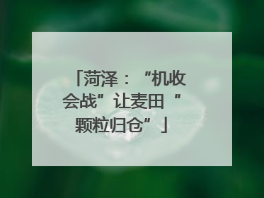 菏泽：“机收会战”让麦田“颗粒归仓”