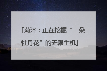 菏泽：正在挖掘“一朵牡丹花”的无限生机