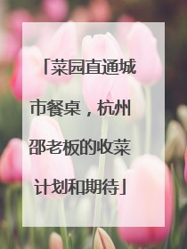 菜园直通城市餐桌，杭州邵老板的收菜计划和期待