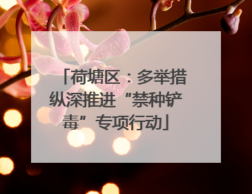 荷塘区：多举措纵深推进“禁种铲毒”专项行动
