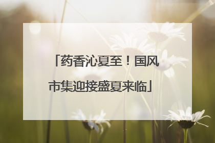 药香沁夏至！国风市集迎接盛夏来临