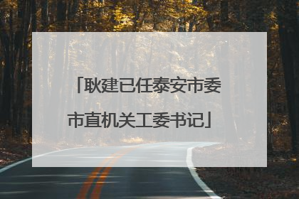 耿建已任泰安市委市直机关工委书记