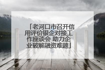 老河口市召开信用评价银企对接工作座谈会 助力企业破解融资难题