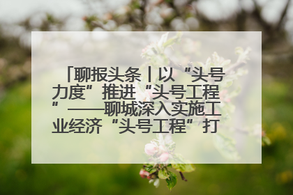 聊报头条丨以“头号力度”推进“头号工程”——聊城深入实施工业经济“头号工程”打造经济发展强引擎