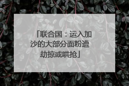 联合国：运入加沙的大部分面粉遭劫掠或哄抢