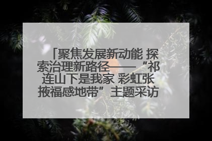 聚焦发展新动能 探索治理新路径——“祁连山下是我家 彩虹张掖福感地带”主题采访活动走进山丹