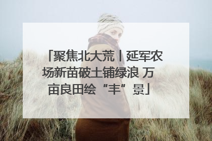聚焦北大荒丨延军农场新苗破土铺绿浪 万亩良田绘“丰”景