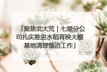 聚焦北大荒｜七星分公司扎实推进水稻育秧大棚基地清理整治工作