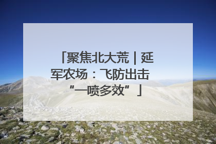 聚焦北大荒｜延军农场：飞防出击 “一喷多效”