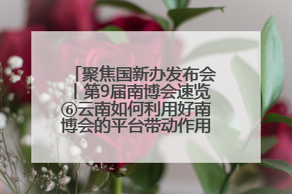 聚焦国新办发布会丨第9届南博会速览⑥云南如何利用好南博会的平台带动作用，深化与南亚国家的交流与合作？