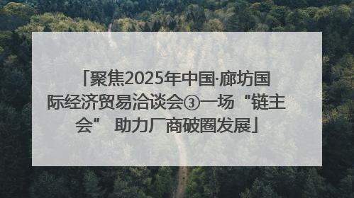 聚焦2025年中国·廊坊国际经济贸易洽谈会③一场“链主会” 助力厂商破圈发展