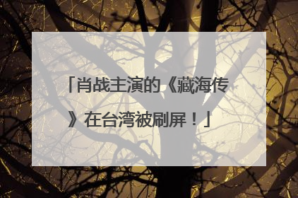 肖战主演的《藏海传》在台湾被刷屏！