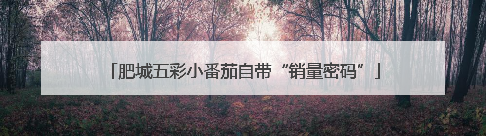 肥城五彩小番茄自带“销量密码”