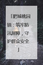 肥城桃园镇：筑牢防汛屏障，守护群众安全