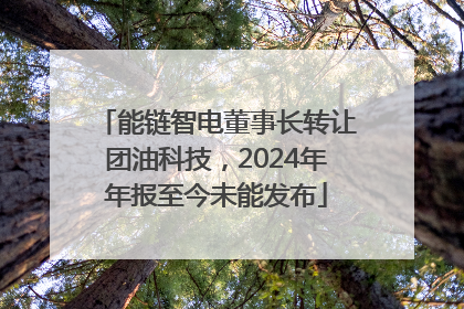 能链智电董事长转让团油科技，2024年年报至今未能发布