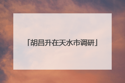 胡昌升在天水市调研