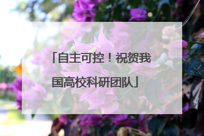 自主可控！祝贺我国高校科研团队