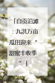 自贡沿滩：九洪万亩瓜田迎来“甜蜜丰收季”