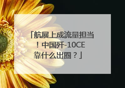 航展上成流量担当！中国歼-10CE靠什么出圈？