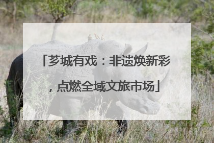 芗城有戏：非遗焕新彩，点燃全域文旅市场