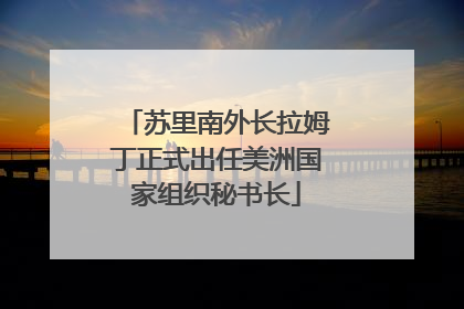 苏里南外长拉姆丁正式出任美洲国家组织秘书长