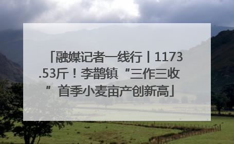 融媒记者一线行丨1173.53斤！李鹊镇“三作三收”首季小麦亩产创新高