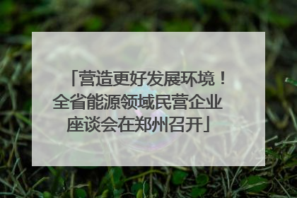 营造更好发展环境！全省能源领域民营企业座谈会在郑州召开