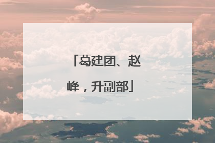 葛建团、赵峰，升副部
