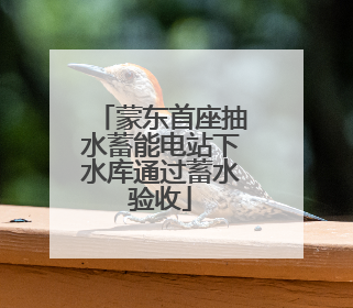 蒙东首座抽水蓄能电站下水库通过蓄水验收
