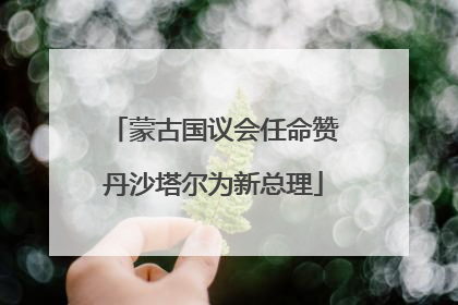 蒙古国议会任命赞丹沙塔尔为新总理