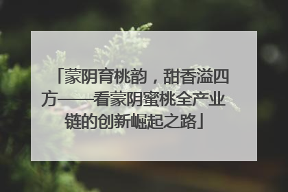蒙阴育桃韵，甜香溢四方——看蒙阴蜜桃全产业链的创新崛起之路