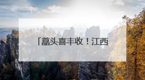 藠头喜丰收！江西莲花小产业撬动乡村振兴“大发展”
