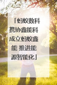 蚂蚁数科携协鑫能科成立蚂蚁鑫能 推进能源智能化