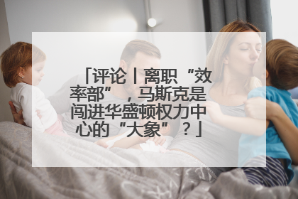 评论丨离职“效率部”，马斯克是闯进华盛顿权力中心的“大象”？