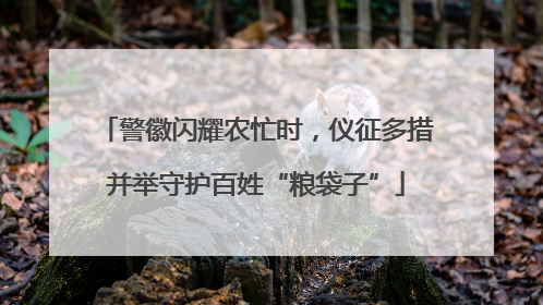 警徽闪耀农忙时，仪征多措并举守护百姓“粮袋子”