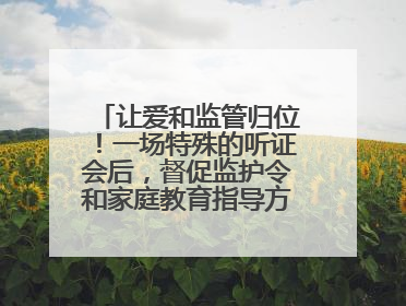 让爱和监管归位！一场特殊的听证会后，督促监护令和家庭教育指导方案同时送达
