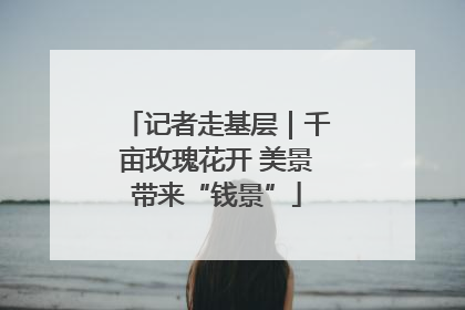 记者走基层｜千亩玫瑰花开 美景带来“钱景”